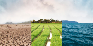 La resiliencia del sector público frente al cambio climático